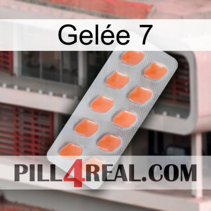 Gelée 7 26